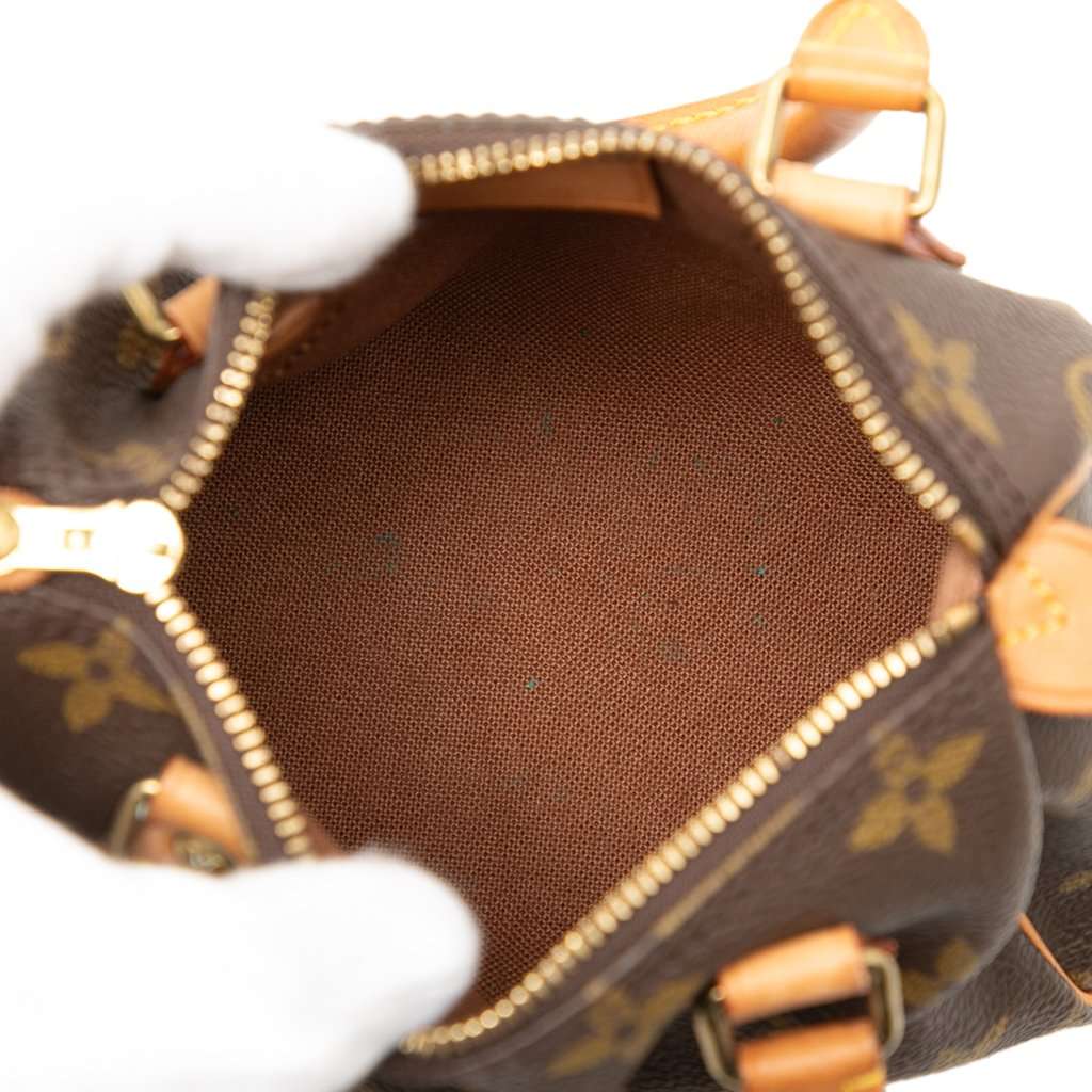 Louis Vuitton Monogram Mini Speedy HL Brown Very good condition - Model View