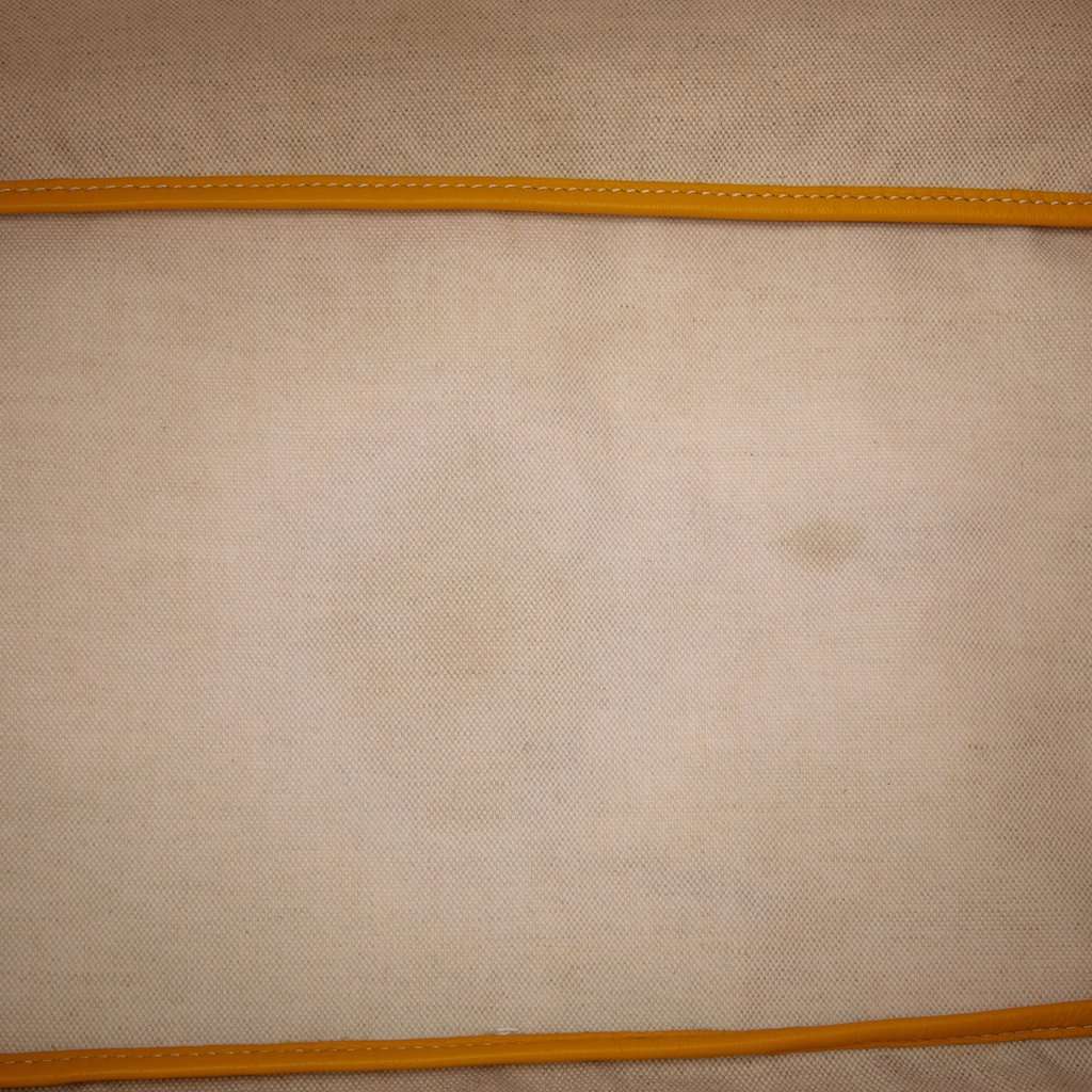 Goyard Goyardine Saint Louis GM Yellow Very good condition - Model View