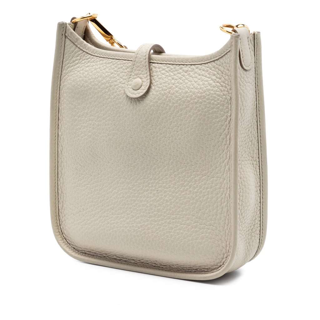 Hermès Clemence Evelyne I TPM 16 MultiColor Leather Very good condition - Back View