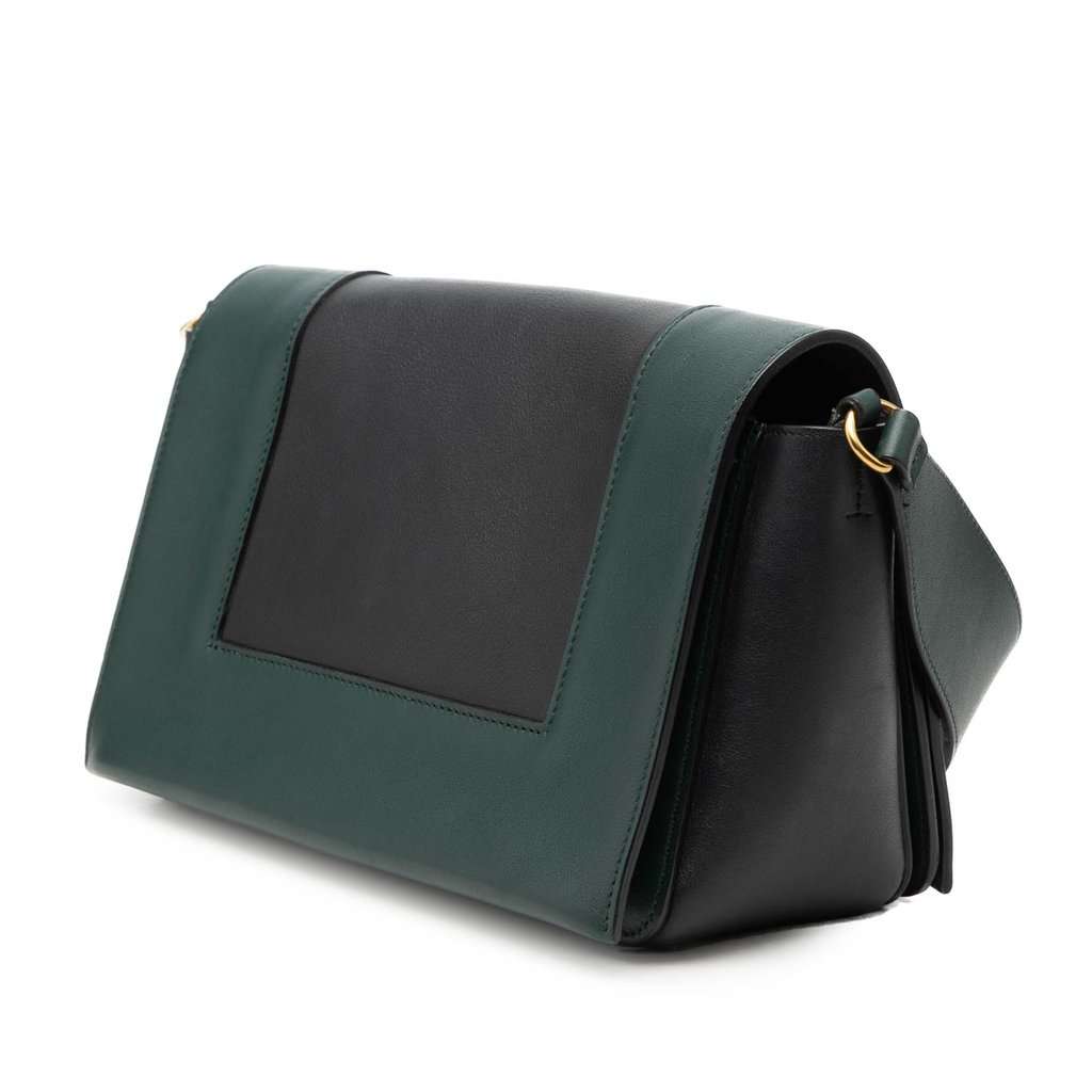 Celine Medium Shiny Smooth Calfskin Frame Shoulder Bag Green Leather Very good condition - Back View