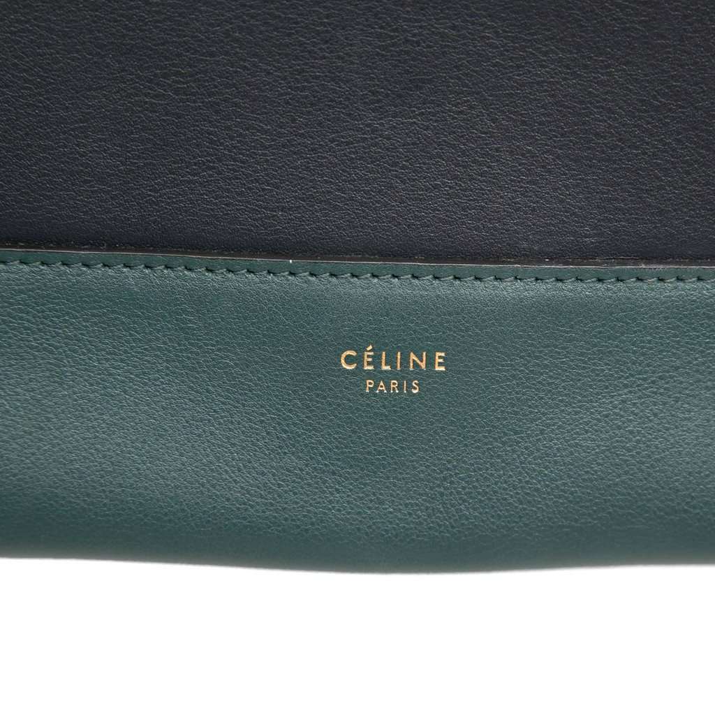 Celine Medium Shiny Smooth Calfskin Frame Shoulder Bag Green Leather Very good condition - Box View