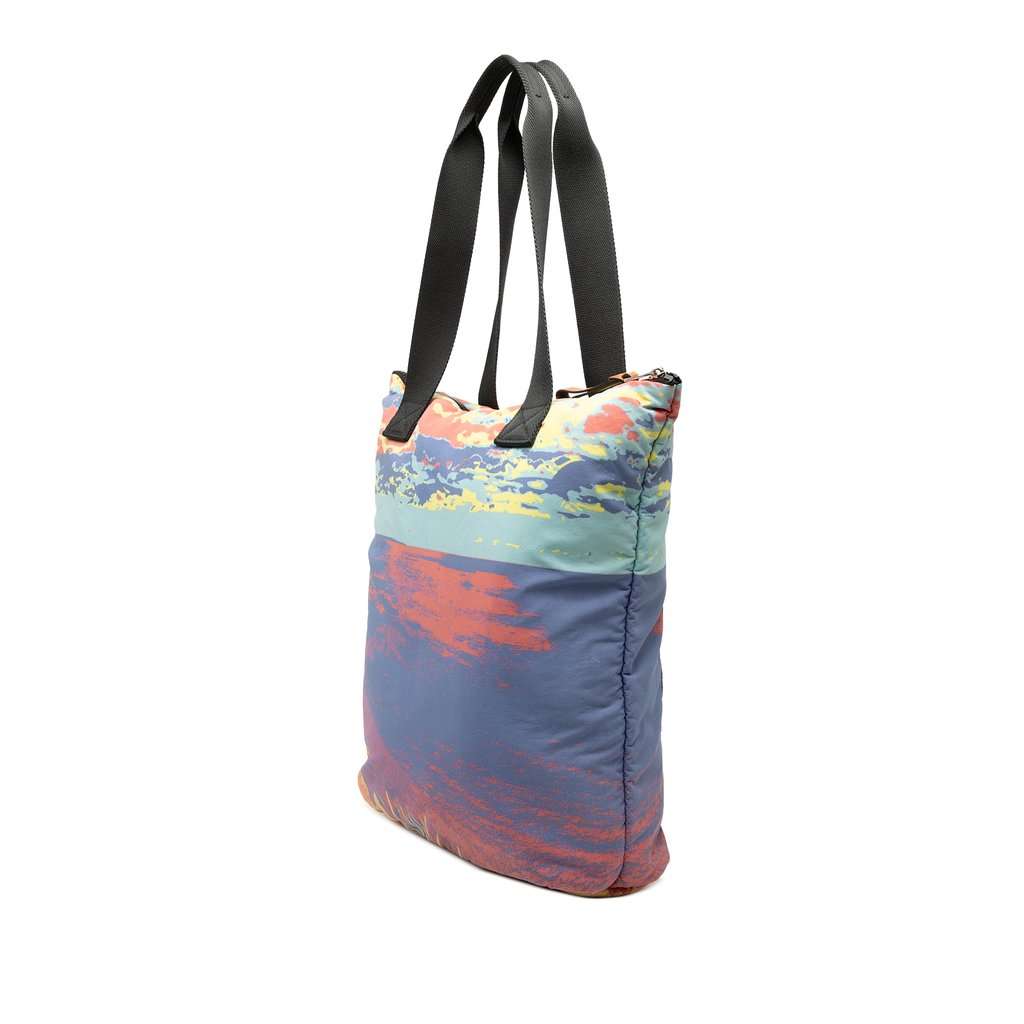 Loewe Printed Nylon Eye Loewe Nature Tote Grey Very good condition - Back View