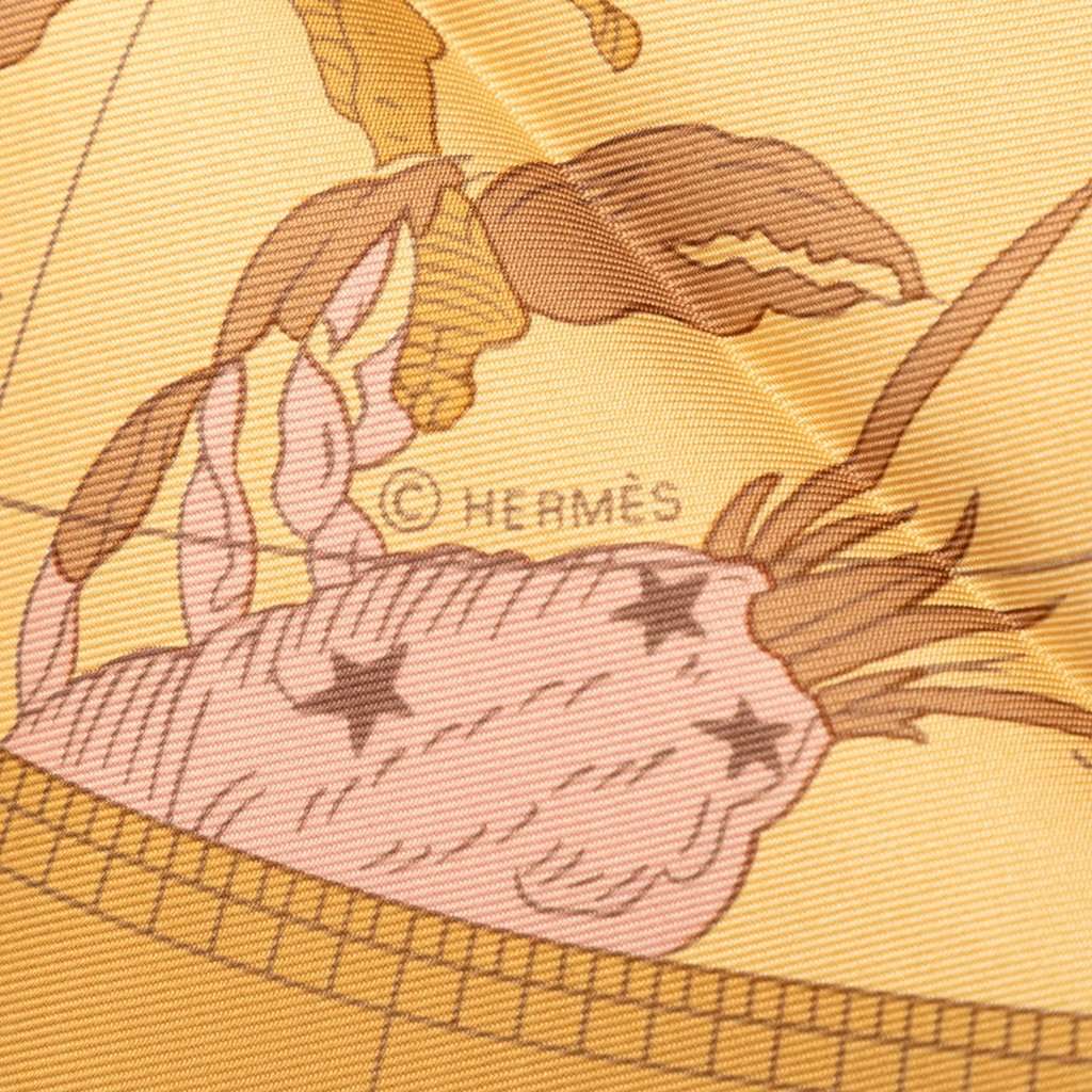 Hermès Hemisphaerium Coeli Boreale Silk Scarf 90 Orange Never worn - Model View