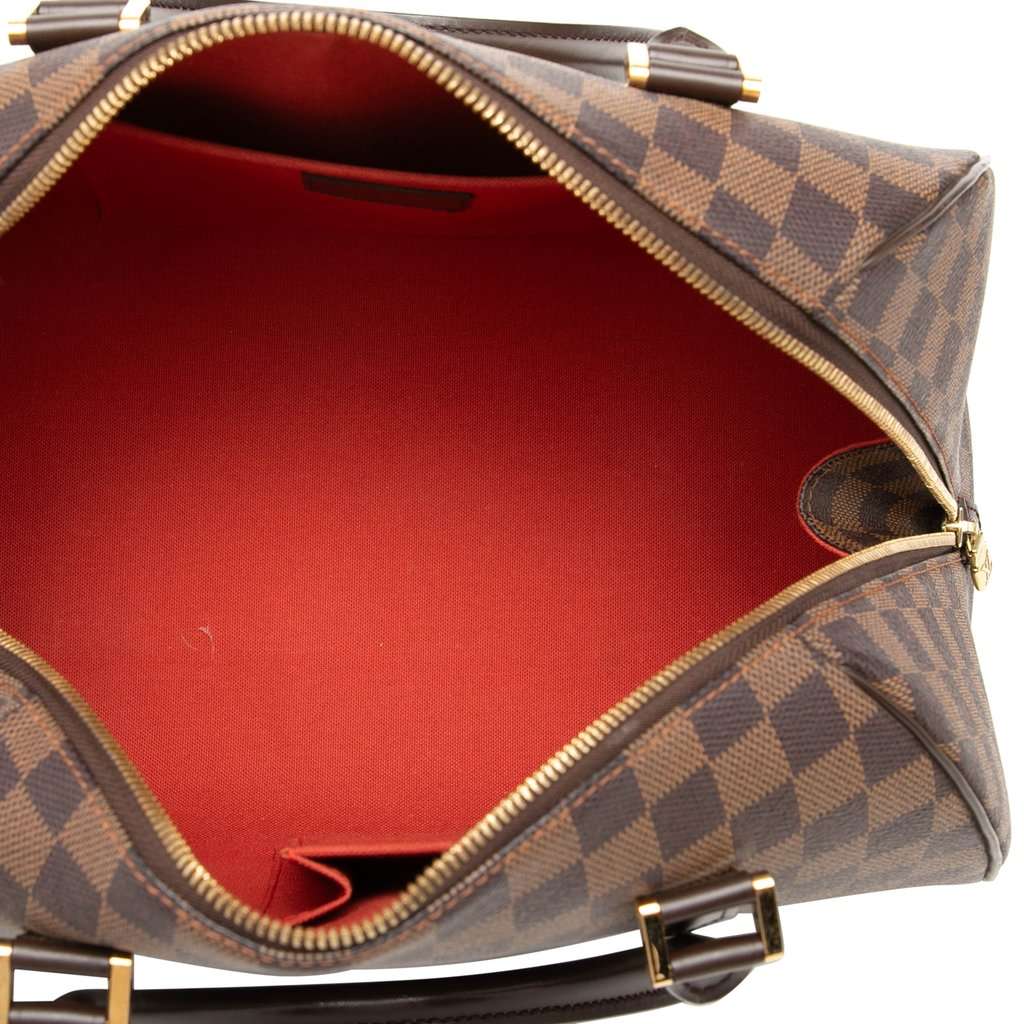 Louis Vuitton Damier Ebene Ribera MM Brown Very good condition - Model View