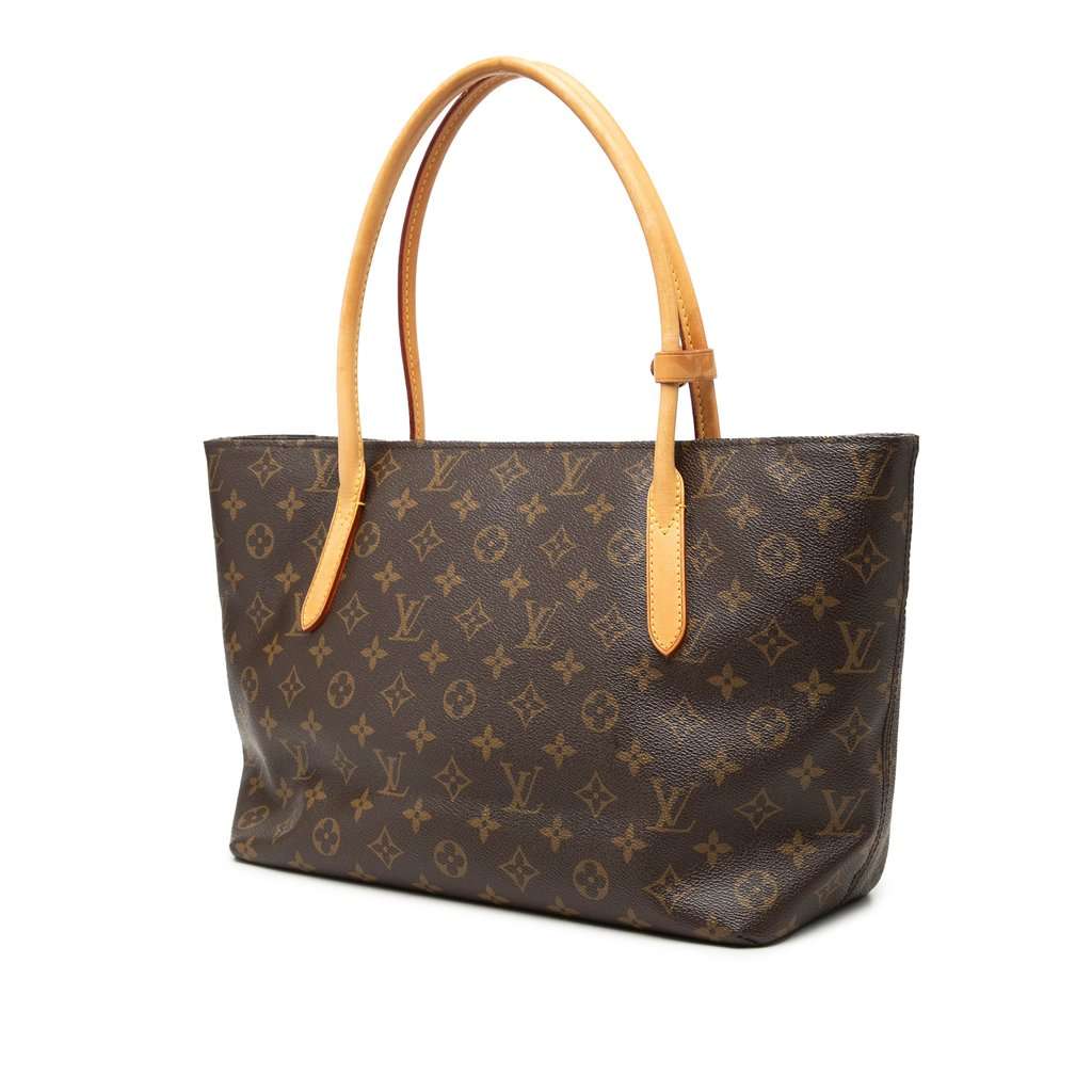 Louis Vuitton Monogram Raspail PM Brown Very good - Back View