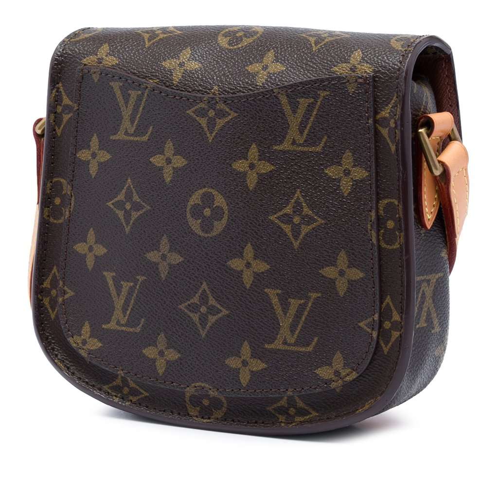 Louis Vuitton Monogram Saint Cloud PM Brown Very good - Back View