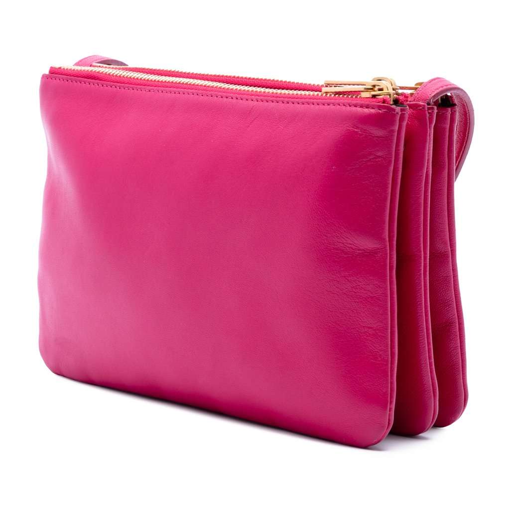 Celine Small Lambskin Trio Crossbody Pink Leather Very good - Back View