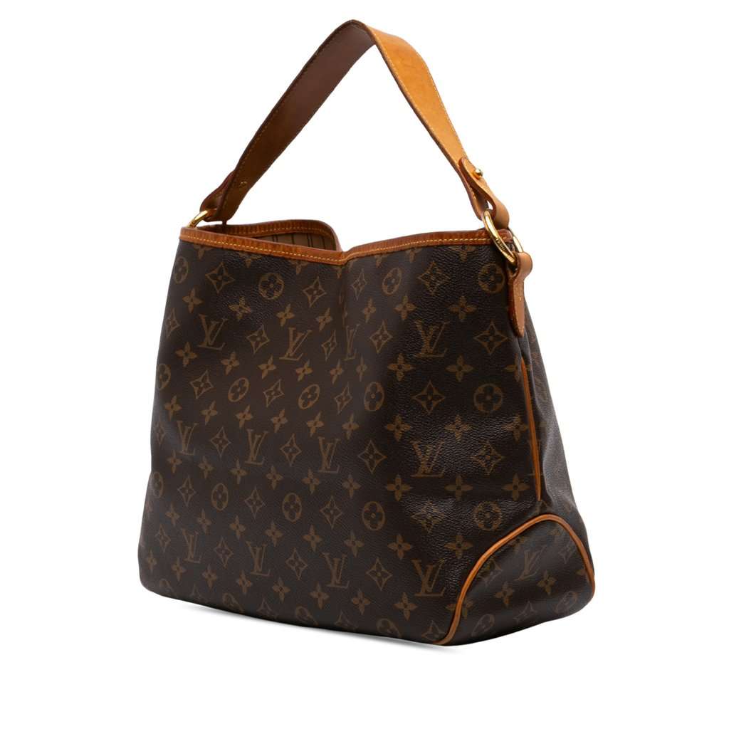Louis Vuitton Monogram Delightful MM Brown Good - Back View