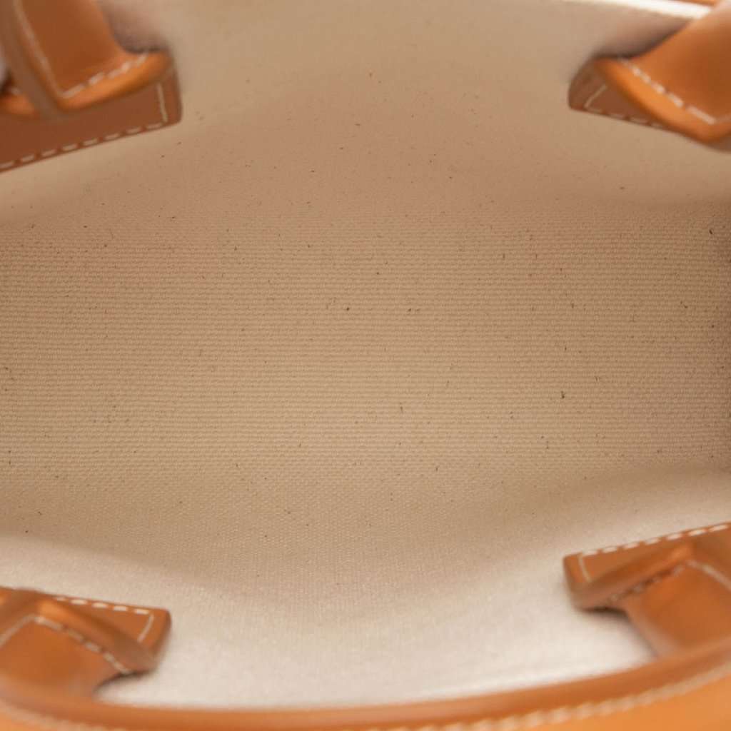 Celine Mini Canvas Vertical Cabas Tote Brown Very good condition - Model View