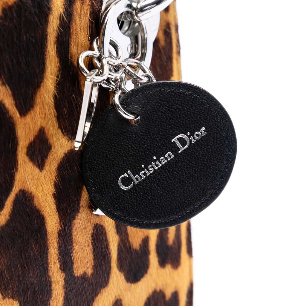 Dior Mini Pony Hair Leopard Print Lady Dior Brown Very good condition - Box View