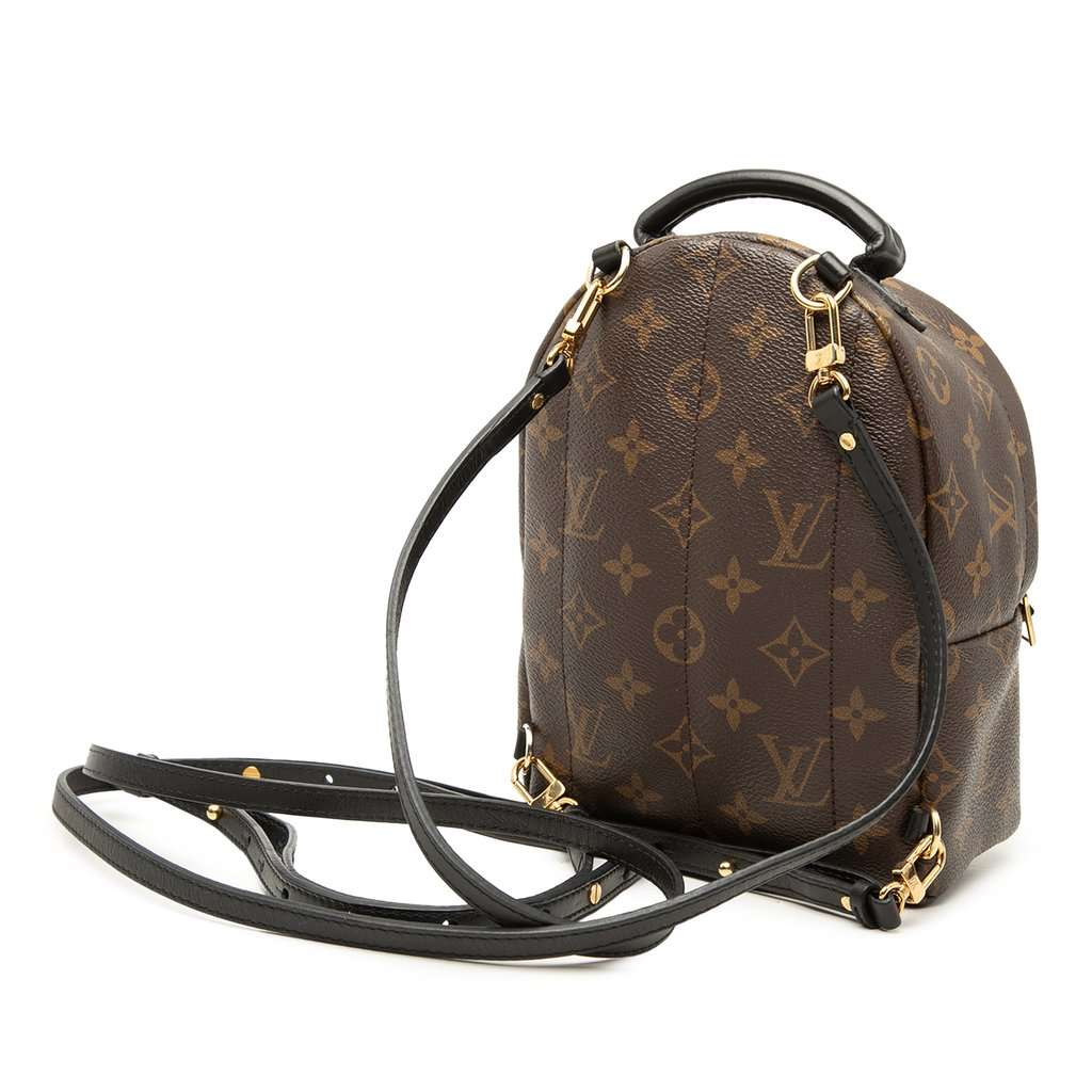 Louis Vuitton Monogram Mini Palm Springs Brown Very good - Back View