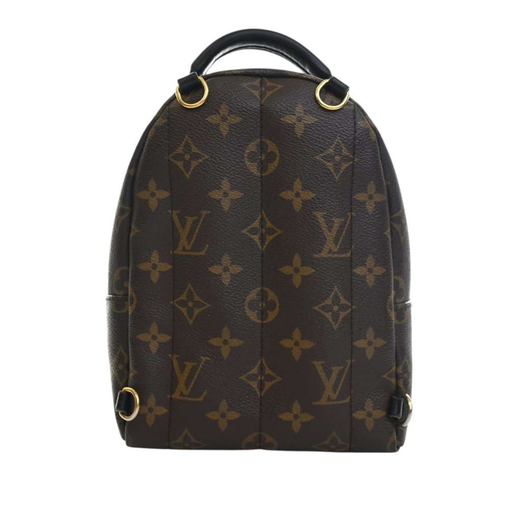 Louis Vuitton Monogram Mini Palm Springs Brown Very good condition - Back View