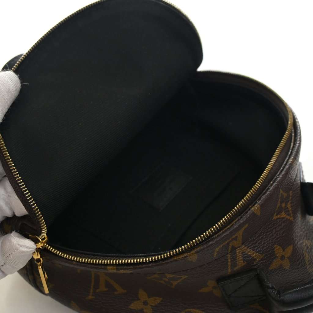 Louis Vuitton Monogram Mini Palm Springs Brown Very good condition - Model View