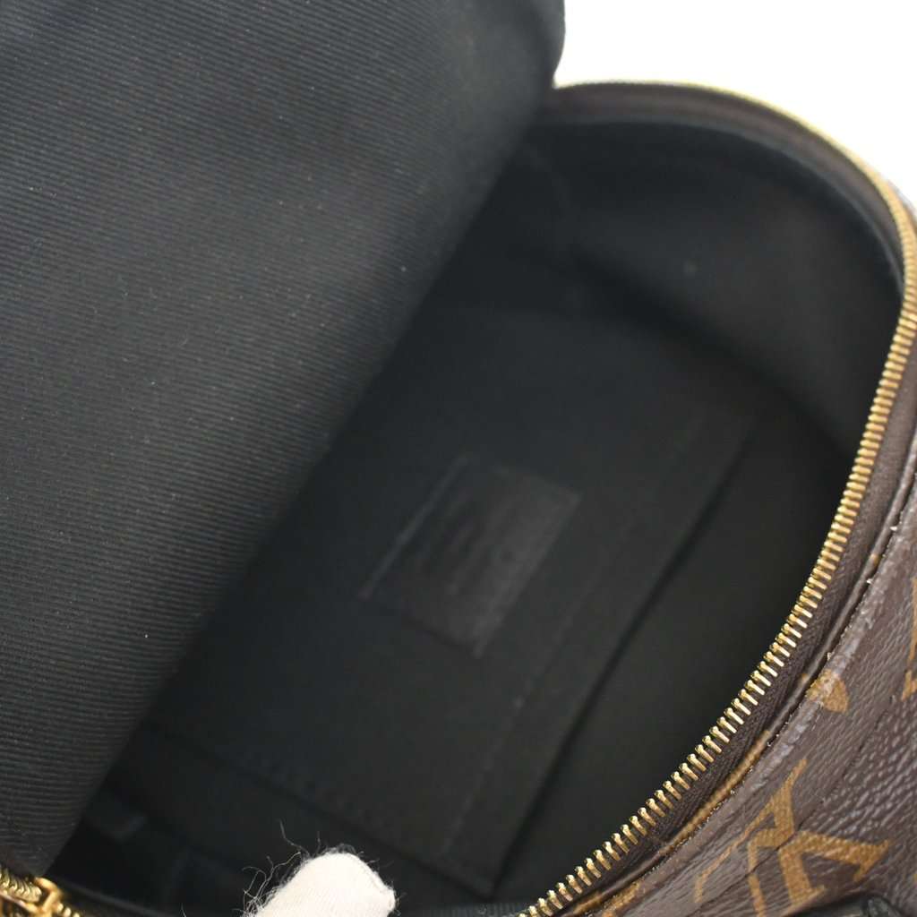 Louis Vuitton Monogram Mini Palm Springs Brown Very good condition - Box View