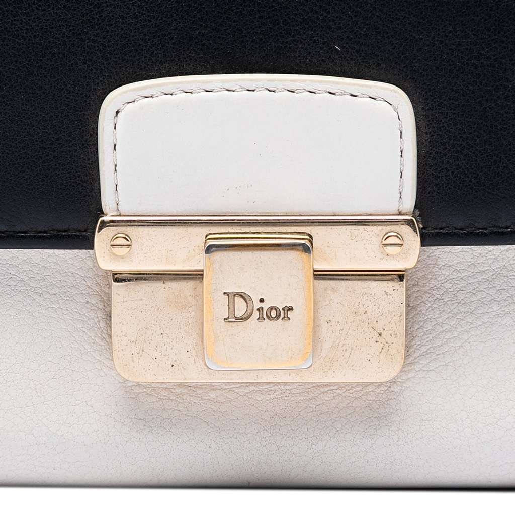 Dior Bicolor Calfskin Diorling Wallet on Chain White Leather Very good - Box View