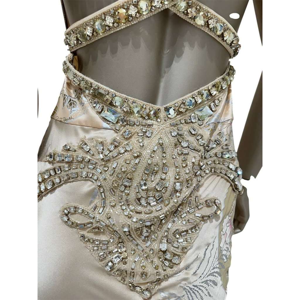 Roberto Cavalli Roberto Cavalli Rare 2006 Runway Gown  Sz.IT40 Pre-owned MultiColor Good - Box View