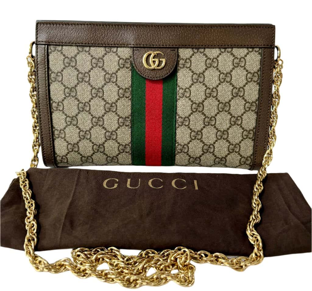 Gucci Ophidia Small Shoulder bag Brown Canvas Good - Model View