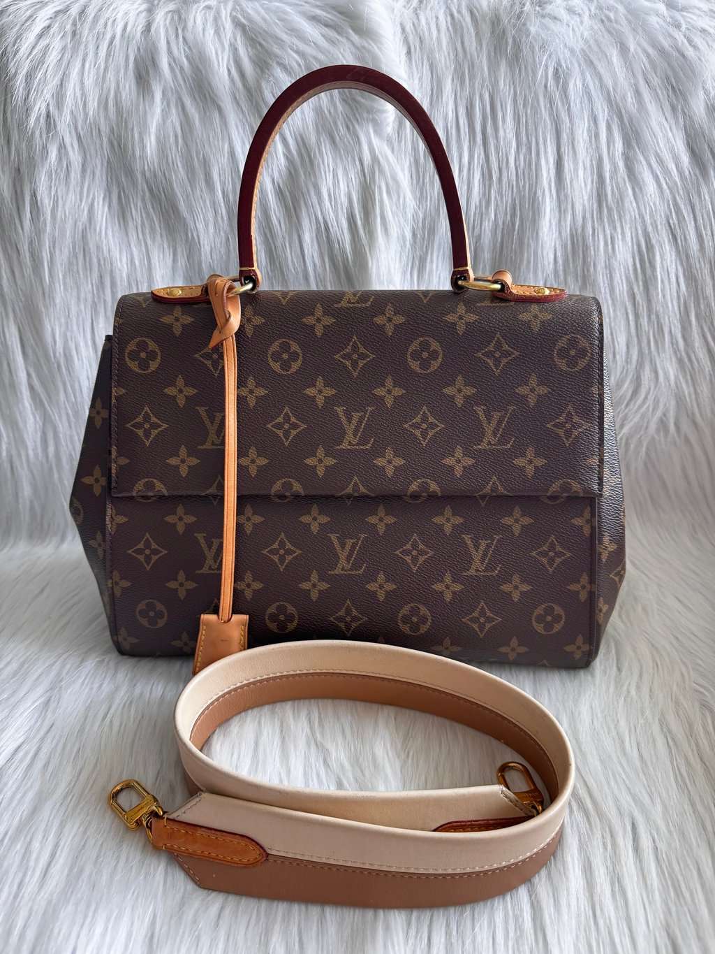 Louis Vuitton Monogram Cluny MM Beige Leather Good - Back View