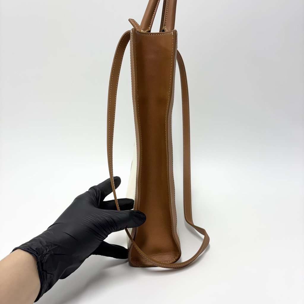 Celine Cabas Vertical Small Tote Bag Brown Canvas Good - Model View