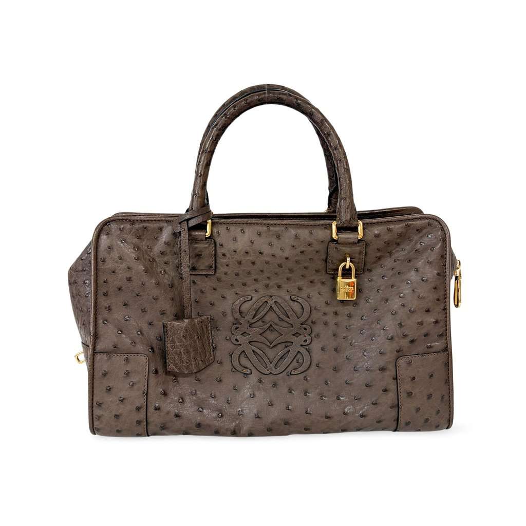 Loewe Ostrich Amazona 28 Tote Bag Dark Brown MultiColor Leather Good - Front View