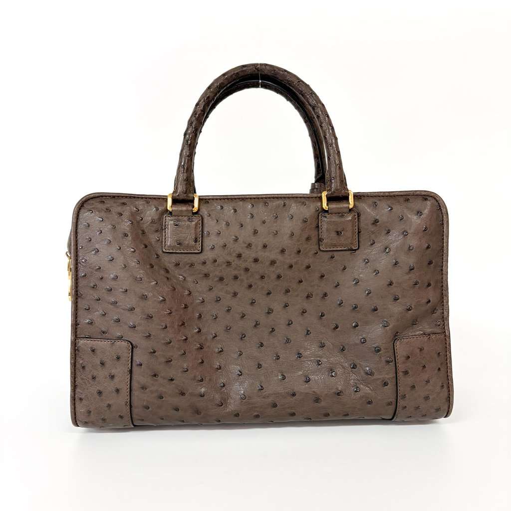 Loewe Ostrich Amazona 28 Tote Bag Dark Brown MultiColor Leather Good - Inside View