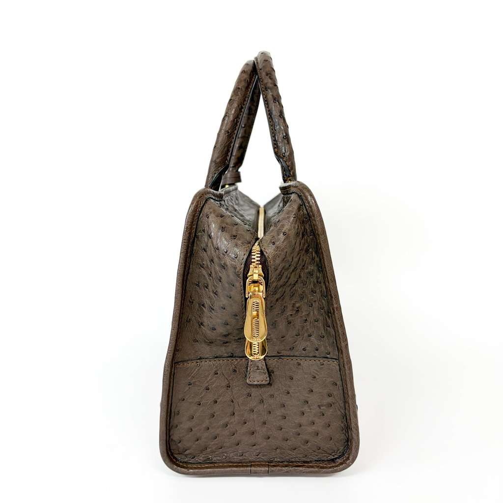 Loewe Ostrich Amazona 28 Tote Bag Dark Brown MultiColor Leather Good - Model View