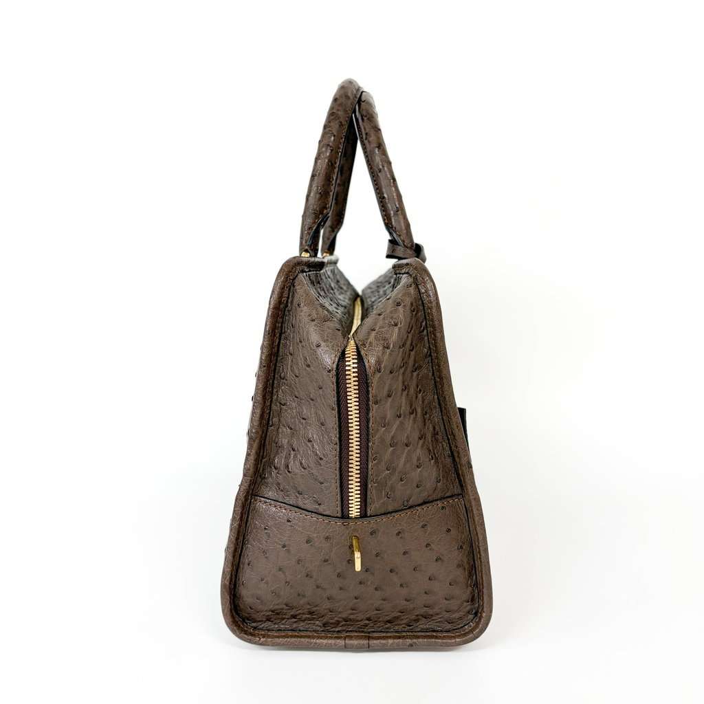 Loewe Ostrich Amazona 28 Tote Bag Dark Brown MultiColor Leather Good - Box View