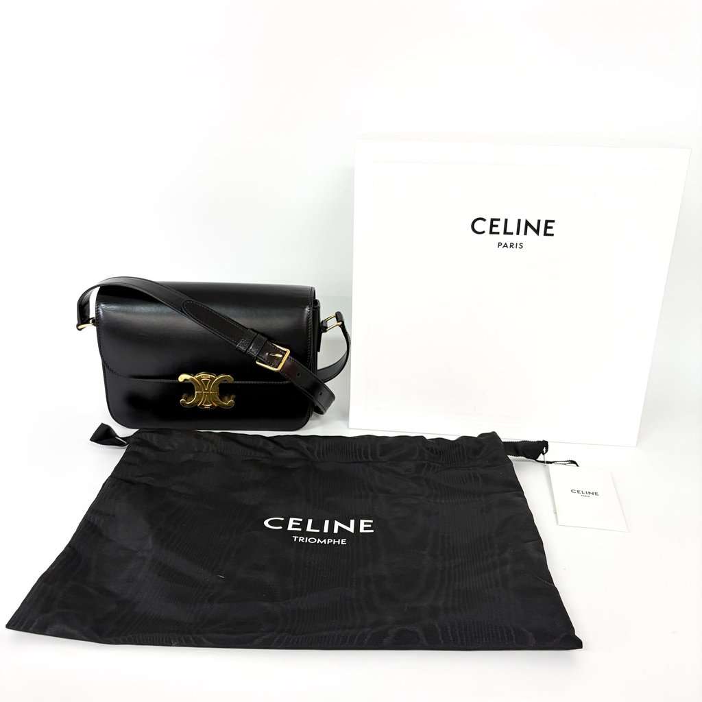 Celine Triomphe Bag Shiny Calfskin Black Gold Hardware Black Leather Good - Back View