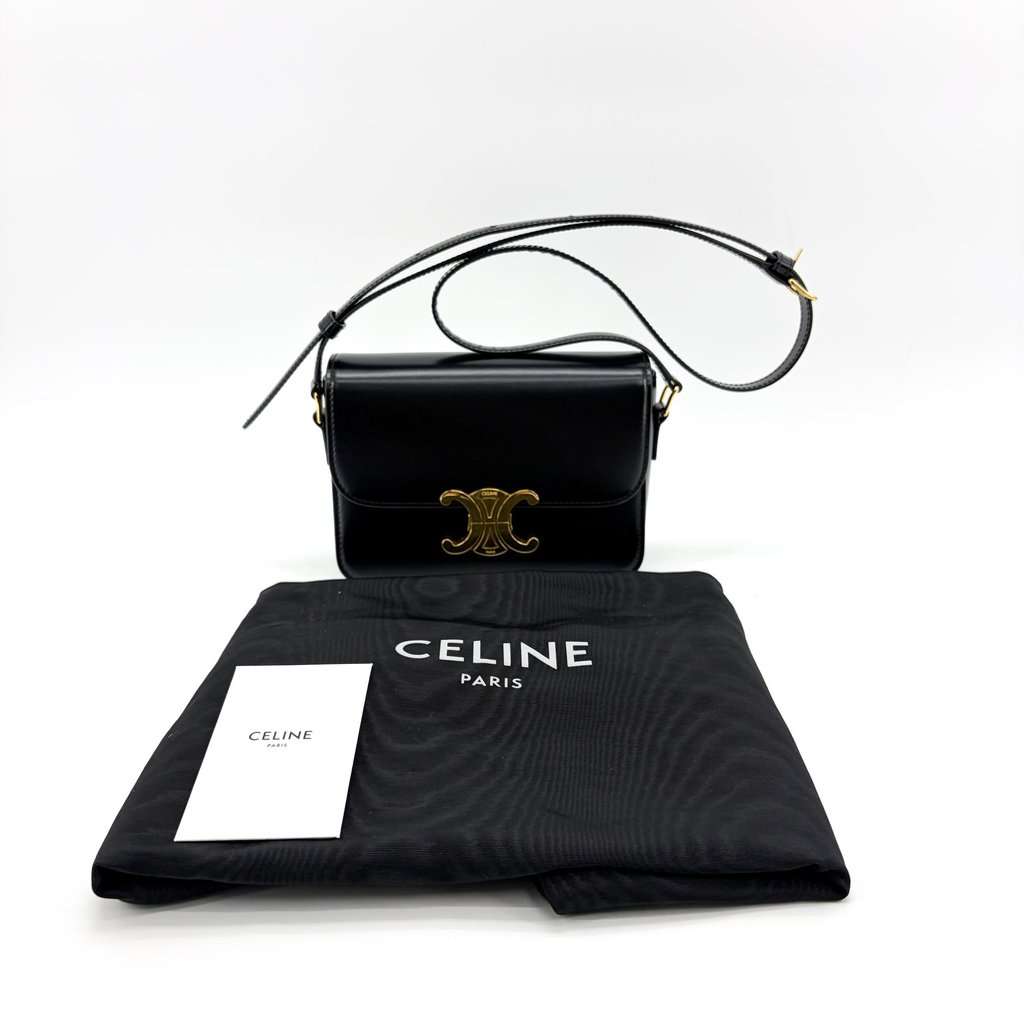 Celine Tin Trionf Bag Shiny Calfskin Black MultiColor Leather Very good - Back View