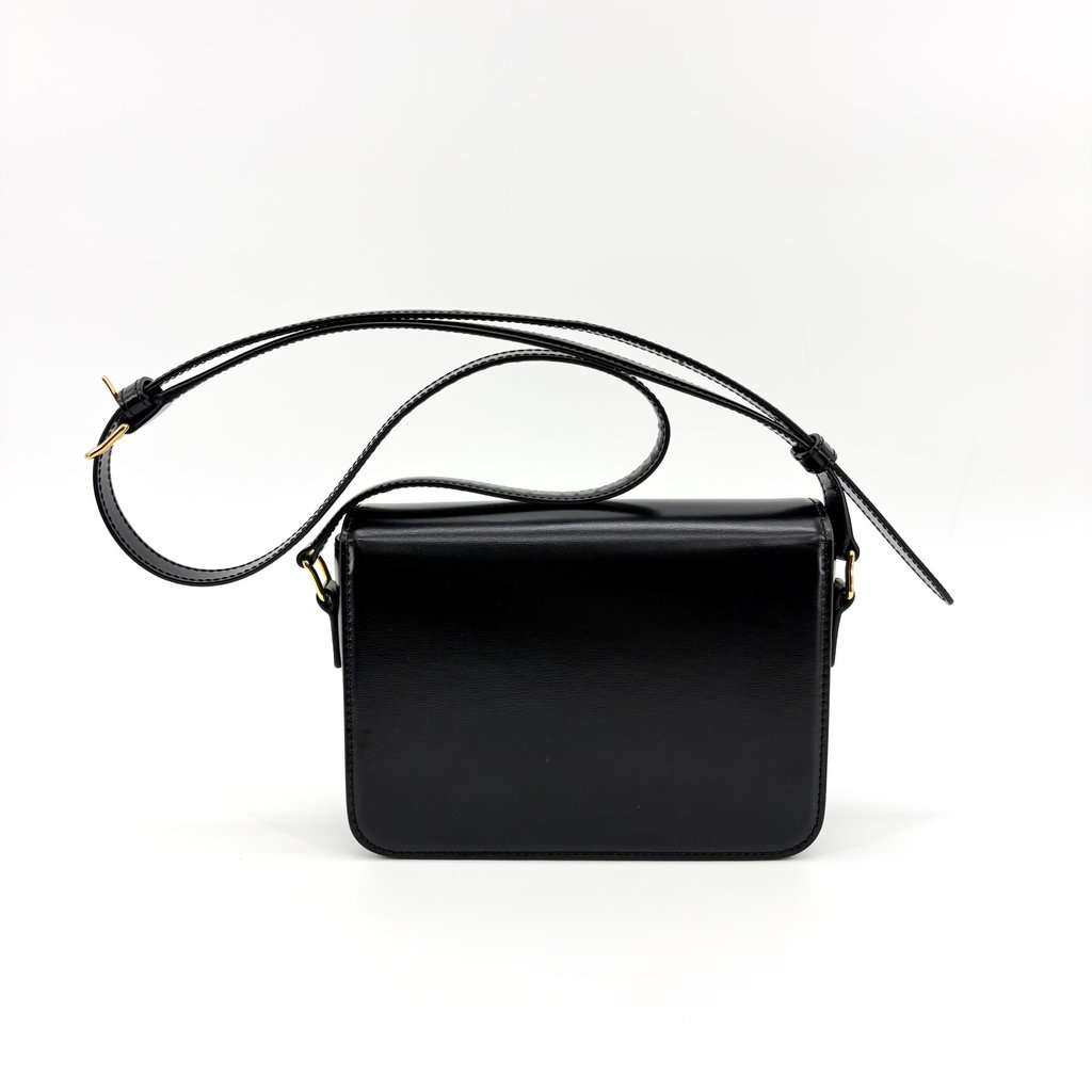 Celine Tin Trionf Bag Shiny Calfskin Black MultiColor Leather Very good - Inside View