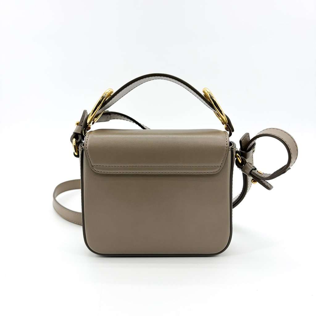 Chloé C Mini Bag Moti Grey Gold Leather Good - Back View