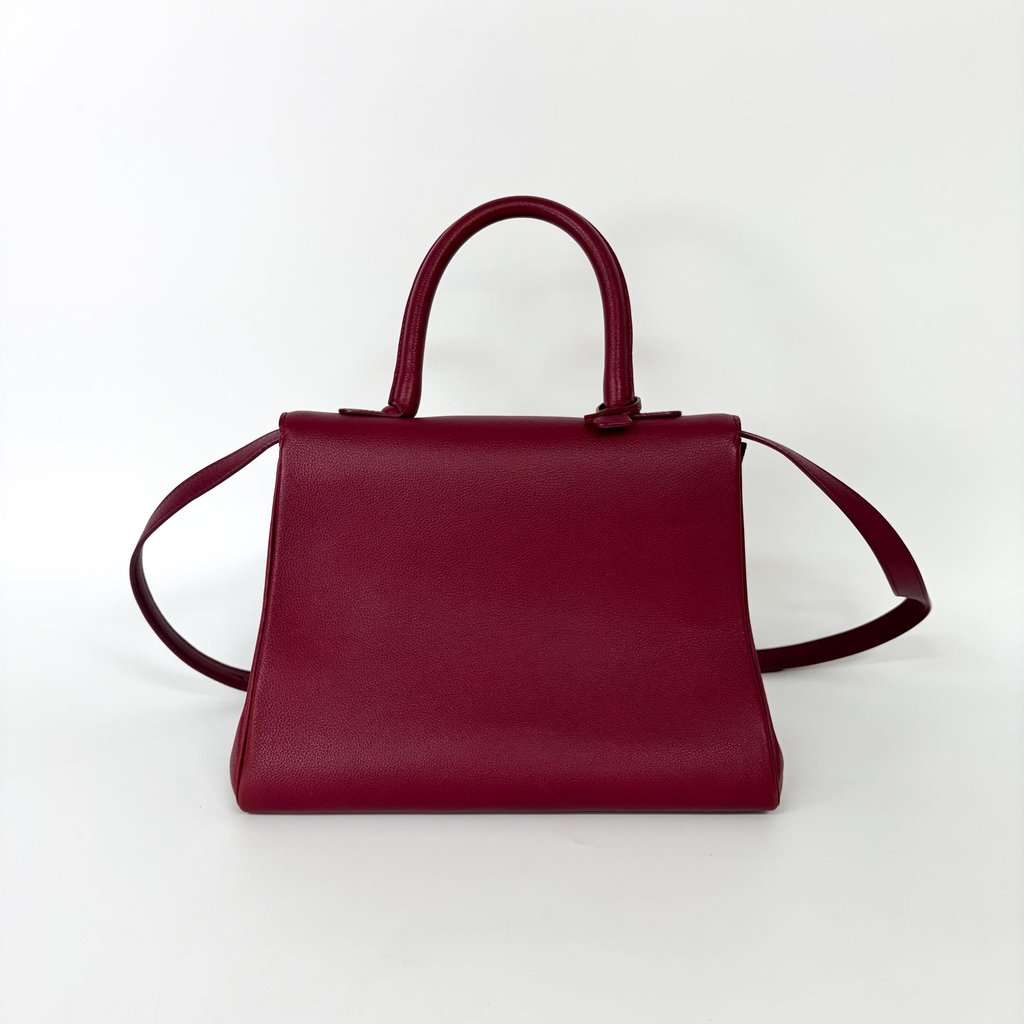 Delvaux Briand MM Rodeo Leather Bordeaux Gold Hardware Pink Leather Good - Back View