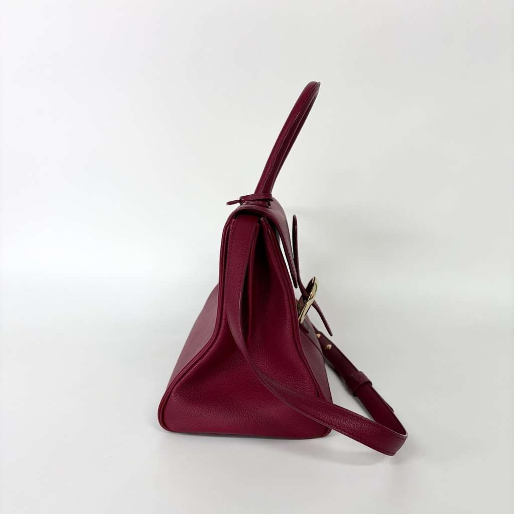 Delvaux Briand MM Rodeo Leather Bordeaux Gold Hardware Pink Leather Good - Model View