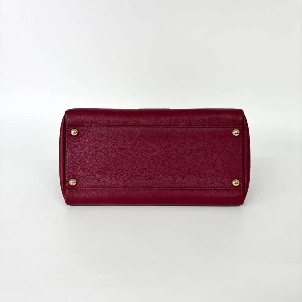 Delvaux Briand MM Rodeo Leather Bordeaux Gold Hardware Pink Leather Good - Box View