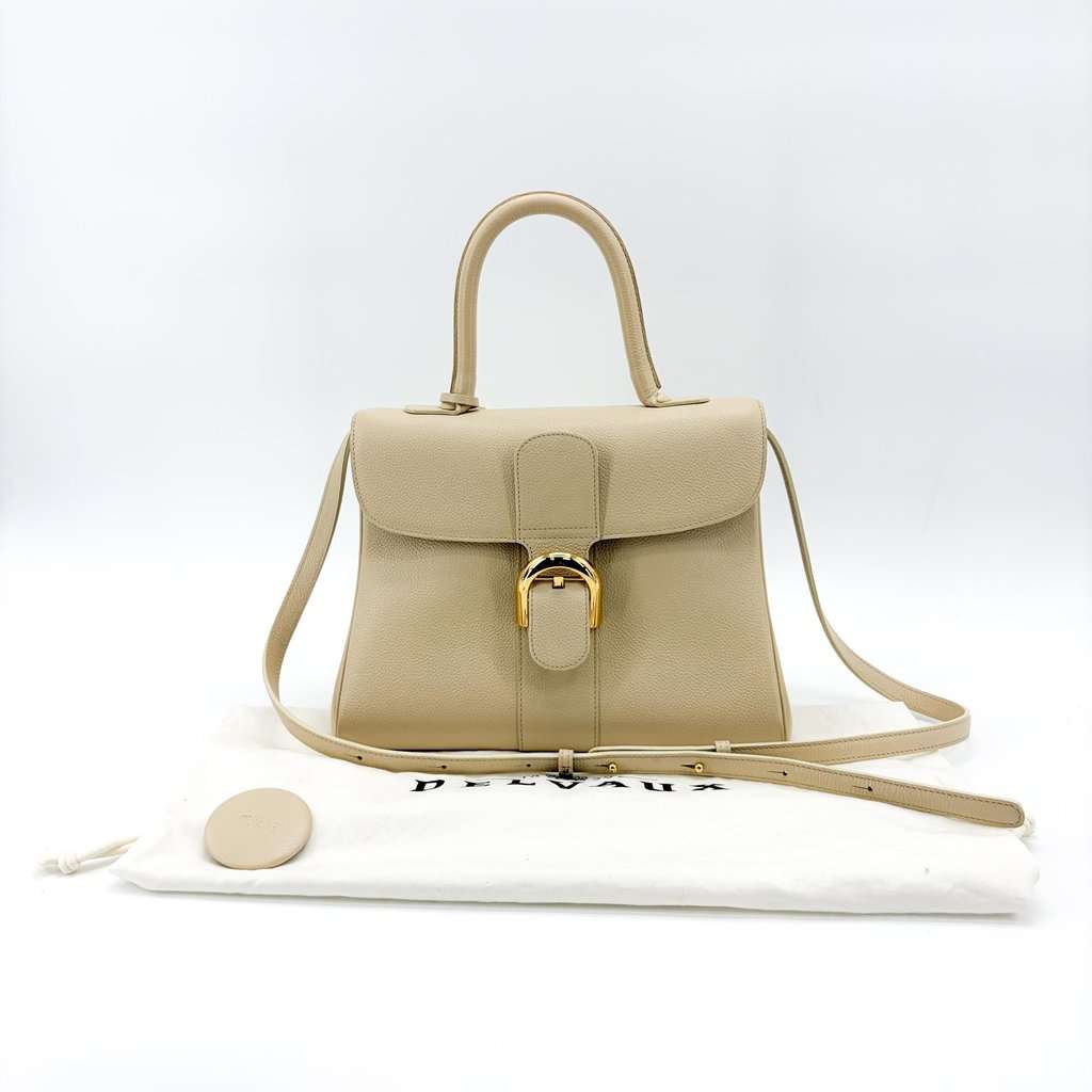 Delvaux Briand MM Rodeo Calf Beige Gold Hardware Beige Leather Good - Back View