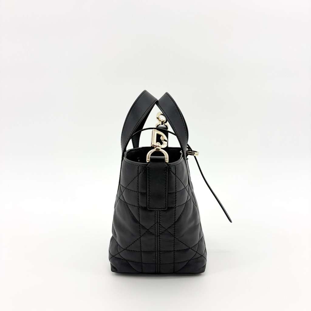 Dior Lady 95.22 Small Bag Black Gold Hardware MultiColor Leather Very good - Model View