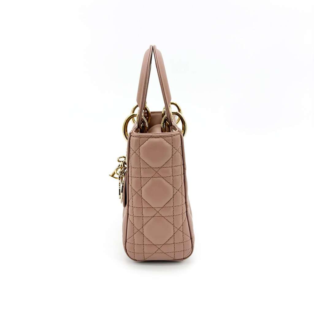 Dior Mini Lady Dior Bag Powder Pink Lambskin Gold Hardware MultiColor Leather Very good - Model View