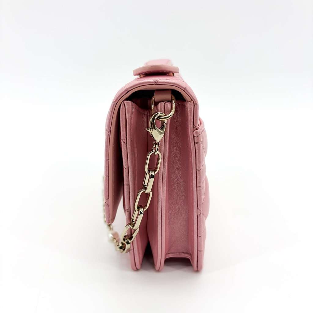 Dior Miss Dior Top Handle Pouch Pink Cannage Lambskin Pink Leather Very good - Model View