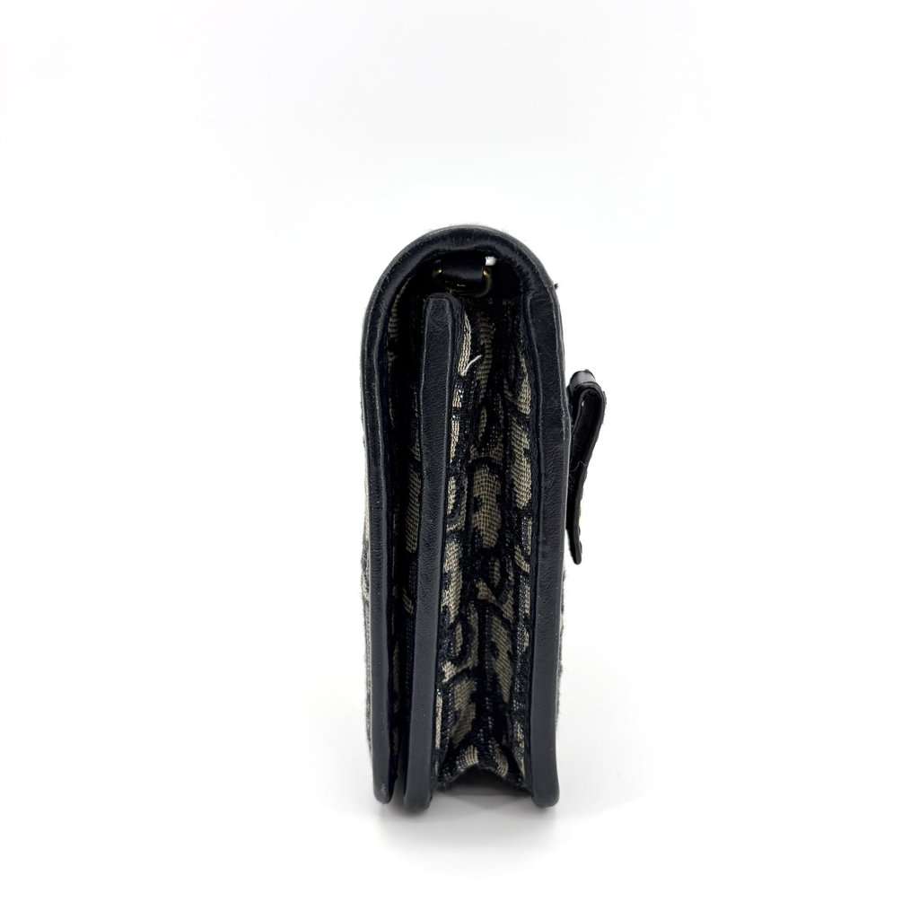 Dior 30 Montaigne Two-in-One Pouch Blue Dior Oblique Jacquard Beige Jacquard Very good - Model View