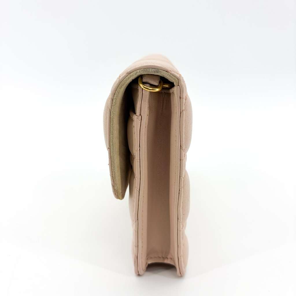 Dior Addict Cannage Flap Bag Pink Beige Gold Hardware Beige Leather Good - Model View