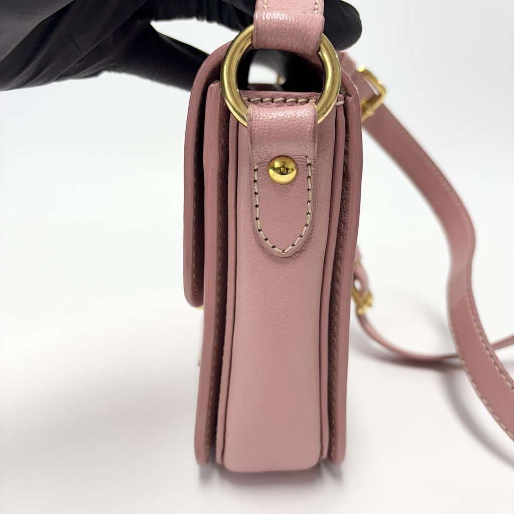 Miu Miu Madras Leather Crossbody Bag Pink Gold Leather Good - Model View
