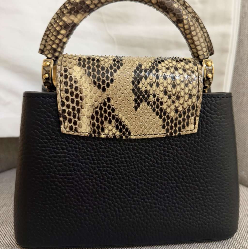 Louis Vuitton Capucines MultiColor Never worn - Back View