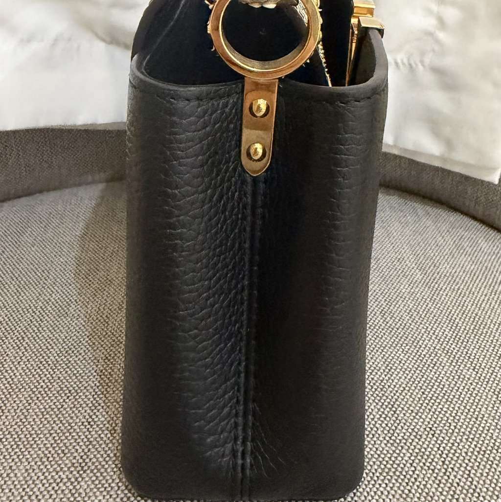 Louis Vuitton Capucines MultiColor Never worn - Model View