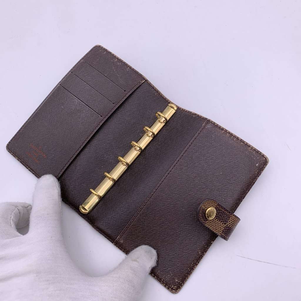 Louis Vuitton Accessory Brown Canvas Good - Model View