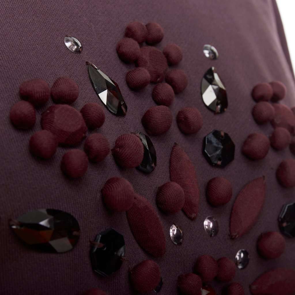Lanvin Crystal Embellished Pullover Burgundy Cotton Very good condition - Back View