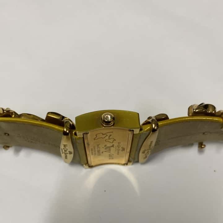 Van Der Bauwede Watch Brown Good - Inside View