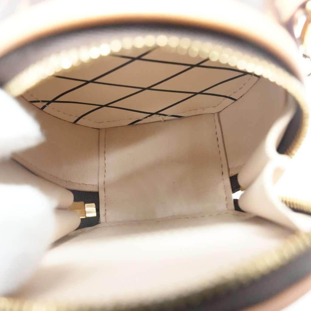 Louis Vuitton Monogram Boite Chapeau Crossbody Brown Canvas Good - Model View