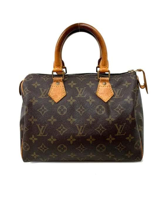Louis Vuitton Monogram Canvas Speedy 25 Bag MultiColor Leather Good - Front View