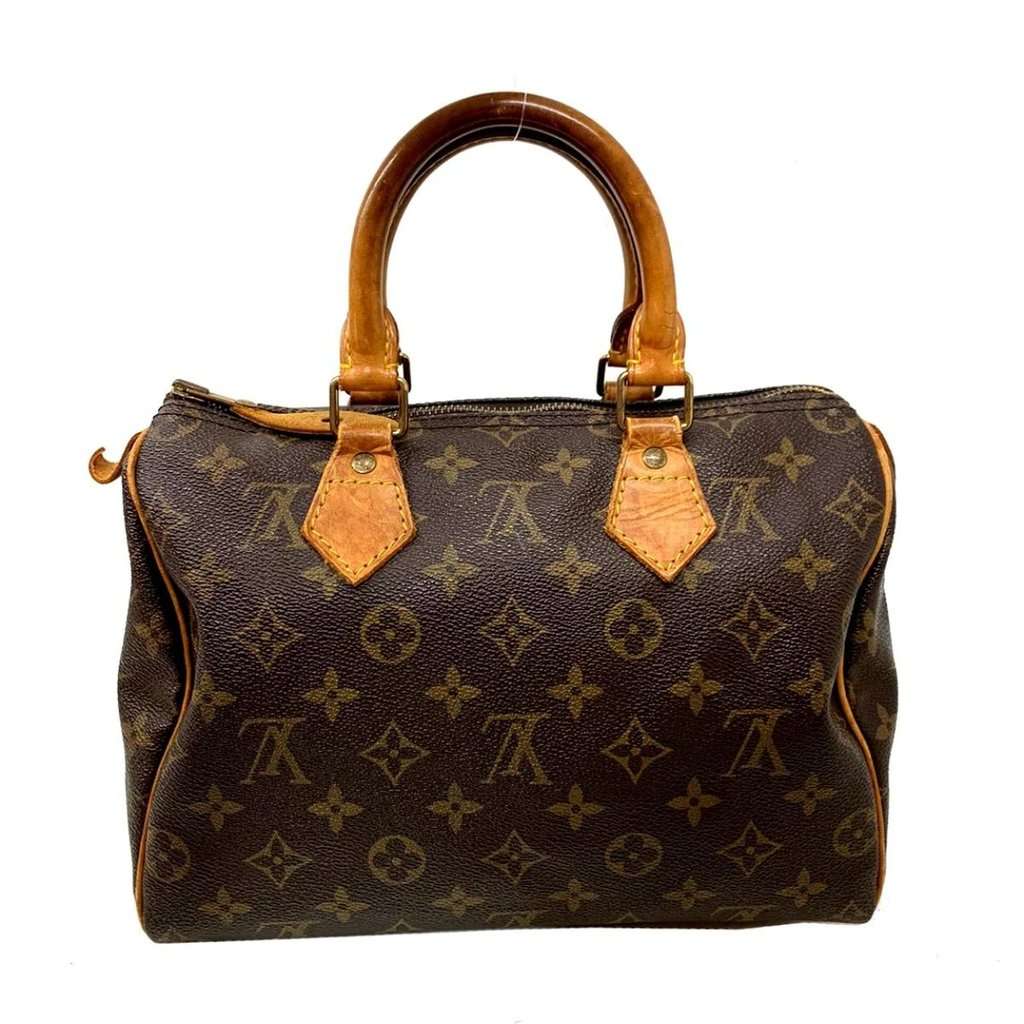 Louis Vuitton Monogram Canvas Speedy 25 Bag MultiColor Leather Good - Back View
