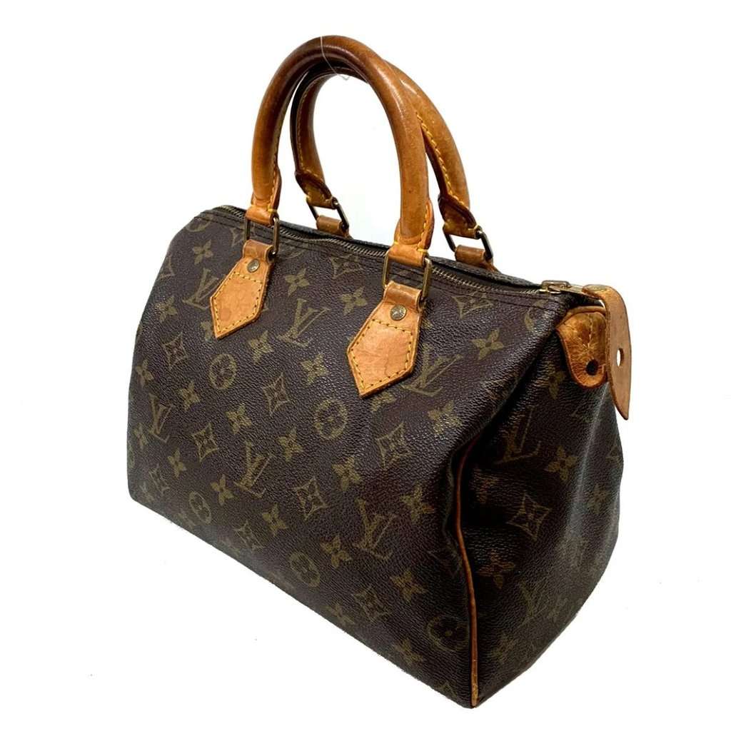 Louis Vuitton Monogram Canvas Speedy 25 Bag MultiColor Leather Good - Inside View